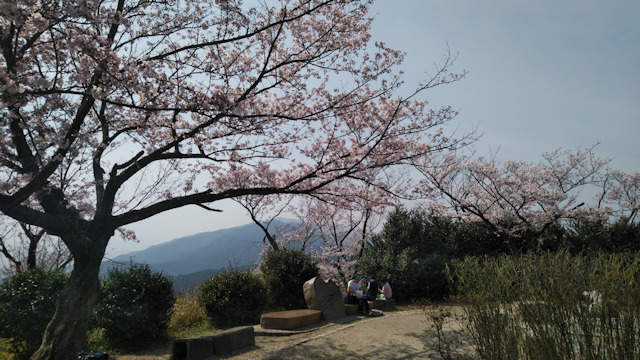 二上山の桜 (2019/04/07)